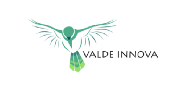 Valde Innova logo